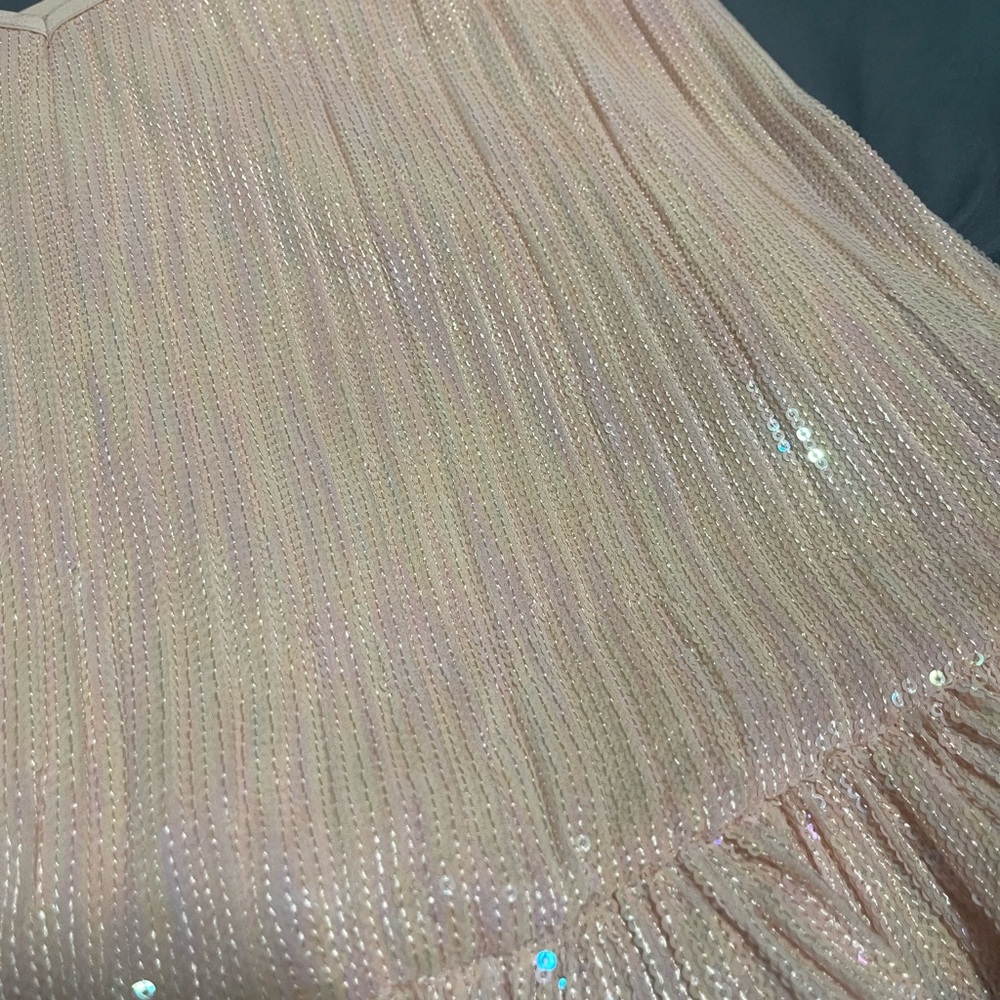 Anthropologie Amelie Iridescent Pink Sequin Ruffle Cami Top worn once - Picture 2 of 6